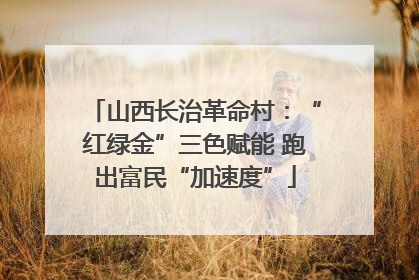 山西长治革命村：“红绿金”三色赋能 跑出富民“加速度”