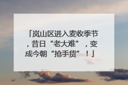 岚山区进入麦收季节，昔日“老大难”，变成今朝“抢手货”！