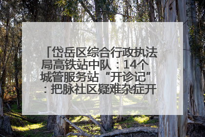 岱岳区综合行政执法局高铁站中队：14个城管服务站“开诊记”：把脉社区疑难杂症开出治理良方