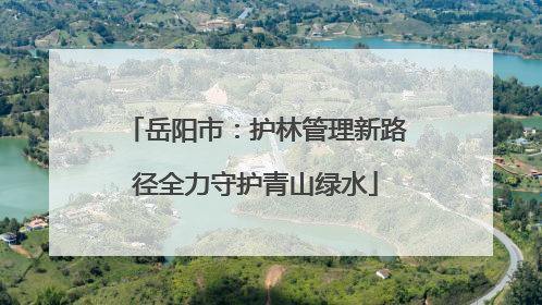 岳阳市：护林管理新路径全力守护青山绿水
