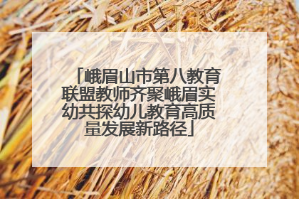 峨眉山市第八教育联盟教师齐聚峨眉实幼共探幼儿教育高质量发展新路径