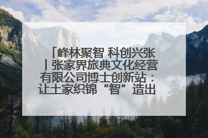 峰林聚智 科创兴张丨张家界旅典文化经营有限公司博士创新站：让土家织锦“智”造出非遗新传奇