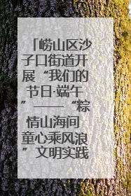 崂山区沙子口街道开展“我们的节日·端午”——“粽情山海间 童心乘风浪”文明实践活动