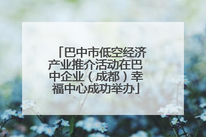 巴中市低空经济产业推介活动在巴中企业（成都）幸福中心成功举办