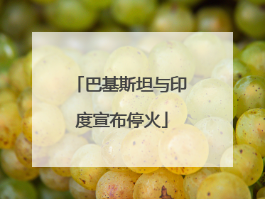 巴基斯坦与印度宣布停火