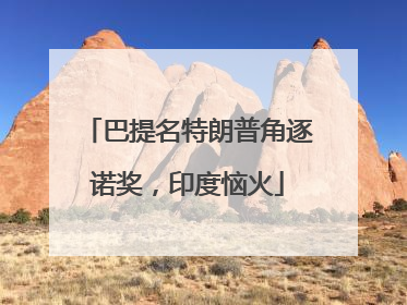 巴提名特朗普角逐诺奖，印度恼火