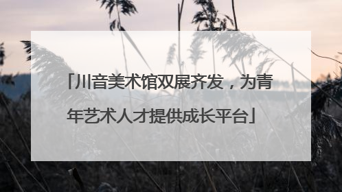 川音美术馆双展齐发，为青年艺术人才提供成长平台