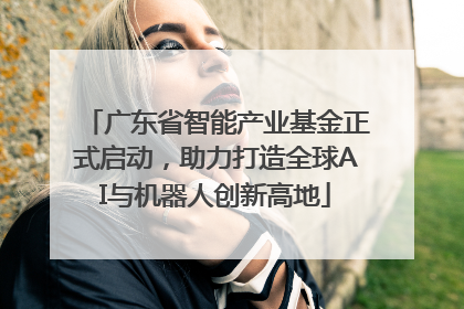 广东省智能产业基金正式启动，助力打造全球AI与机器人创新高地