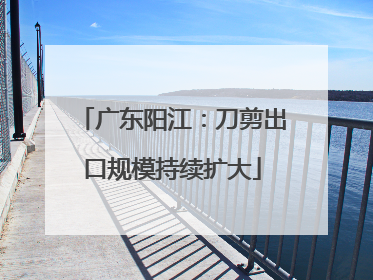 广东阳江：刀剪出口规模持续扩大