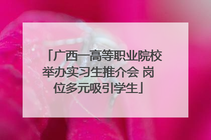 广西一高等职业院校举办实习生推介会 岗位多元吸引学生