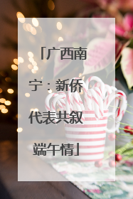广西南宁：新侨代表共叙端午情