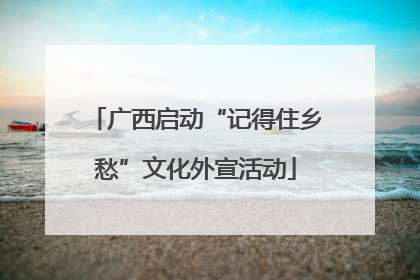 广西启动“记得住乡愁”文化外宣活动