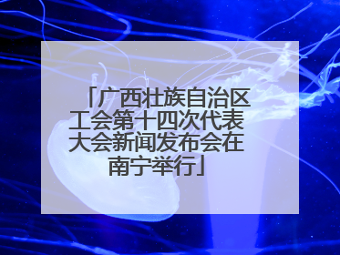广西壮族自治区工会第十四次代表大会新闻发布会在南宁举行