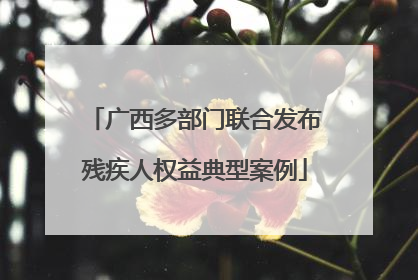 广西多部门联合发布残疾人权益典型案例