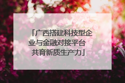 广西搭建科技型企业与金融对接平台 共育新质生产力