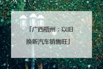 广西梧州：以旧换新汽车销售旺