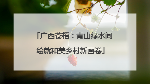 广西苍梧：青山绿水间绘就和美乡村新画卷