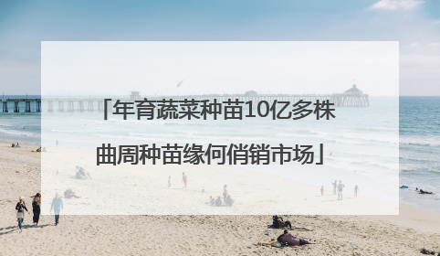 年育蔬菜种苗10亿多株 曲周种苗缘何俏销市场