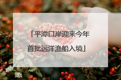 平潭口岸迎来今年首批远洋渔船入境