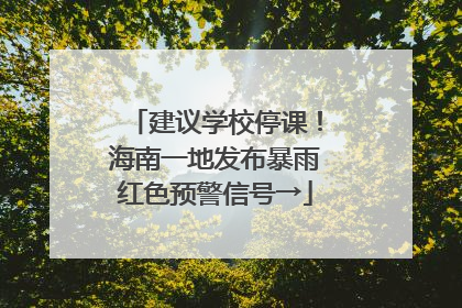 建议学校停课！海南一地发布暴雨红色预警信号→