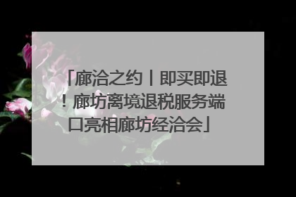 廊洽之约丨即买即退！廊坊离境退税服务端口亮相廊坊经洽会