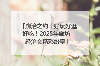 廊洽之约丨好玩好逛好吃！2025年廊坊经洽会精彩纷呈