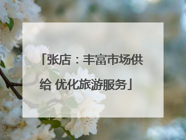 张店：丰富市场供给 优化旅游服务
