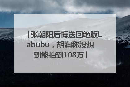 张朝阳后悔送回绝版Labubu，胡润称没想到能拍到108万