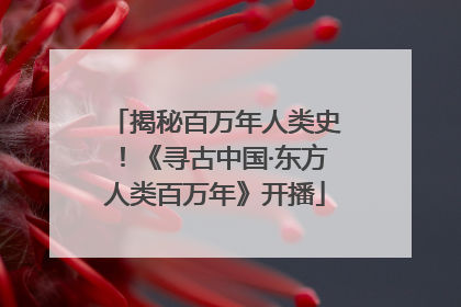 揭秘百万年人类史！《寻古中国·东方人类百万年》开播
