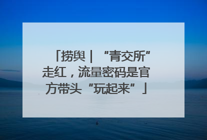 捞舆｜“青交所”走红，流量密码是官方带头“玩起来”