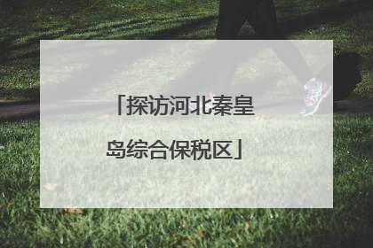 探访河北秦皇岛综合保税区