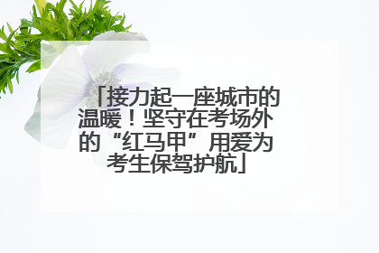 接力起一座城市的温暖！坚守在考场外的“红马甲”用爱为考生保驾护航
