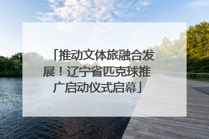 推动文体旅融合发展！辽宁省匹克球推广启动仪式启幕
