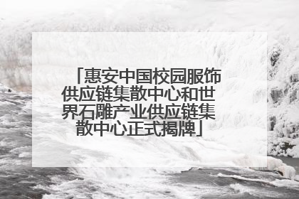 惠安中国校园服饰供应链集散中心和世界石雕产业供应链集散中心正式揭牌