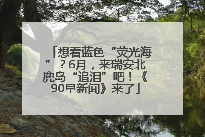 想看蓝色“荧光海”？6月，来瑞安北麂岛“追泪”吧！《90早新闻》来了