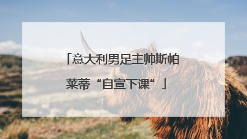 意大利男足主帅斯帕莱蒂“自宣下课”