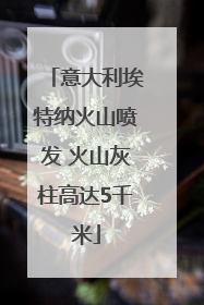 意大利埃特纳火山喷发 火山灰柱高达5千米