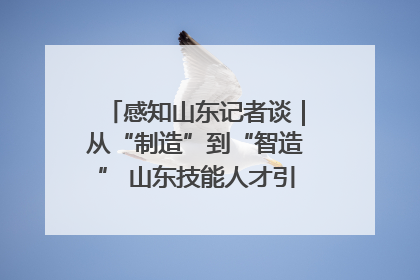 感知山东记者谈｜从“制造”到“智造” 山东技能人才引领产业升级