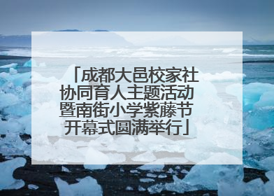 成都大邑校家社协同育人主题活动暨南街小学紫藤节开幕式圆满举行
