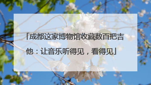 成都这家博物馆收藏数百把吉他：让音乐听得见，看得见