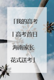 我的高考丨高考首日 海南家长花式送考