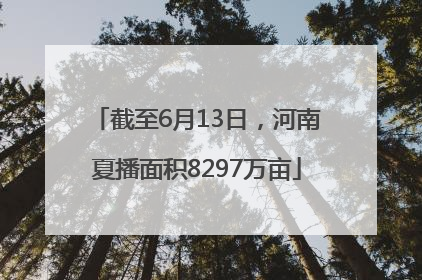 截至6月13日，河南夏播面积8297万亩