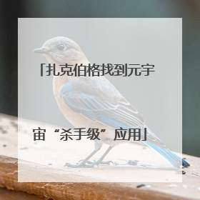 扎克伯格找到元宇宙“杀手级”应用