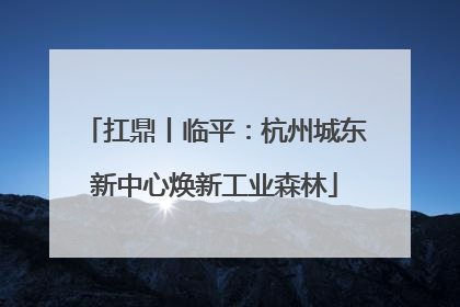 扛鼎丨临平：杭州城东新中心焕新工业森林