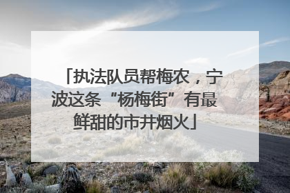 执法队员帮梅农，宁波这条“杨梅街”有最鲜甜的市井烟火