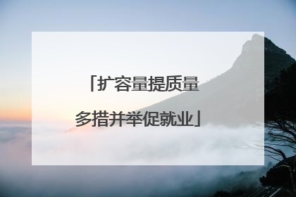 扩容量提质量 多措并举促就业