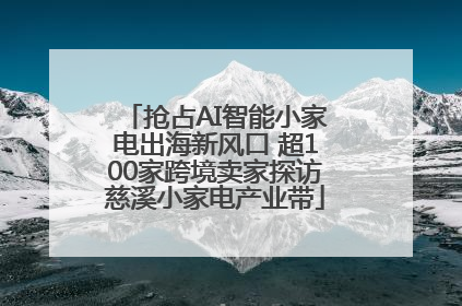 抢占AI智能小家电出海新风口 超100家跨境卖家探访慈溪小家电产业带