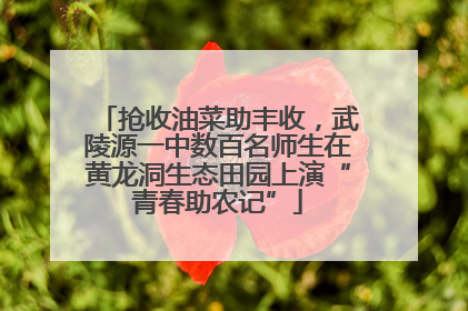 抢收油菜助丰收，武陵源一中数百名师生在黄龙洞生态田园上演“青春助农记”