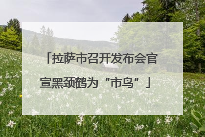 拉萨市召开发布会官宣黑颈鹤为“市鸟”