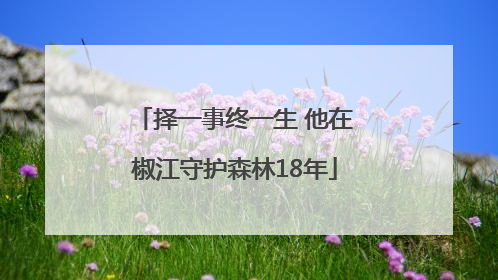 择一事终一生 他在椒江守护森林18年